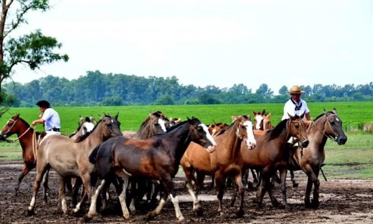 Tiempo libre y actividades en la estancia