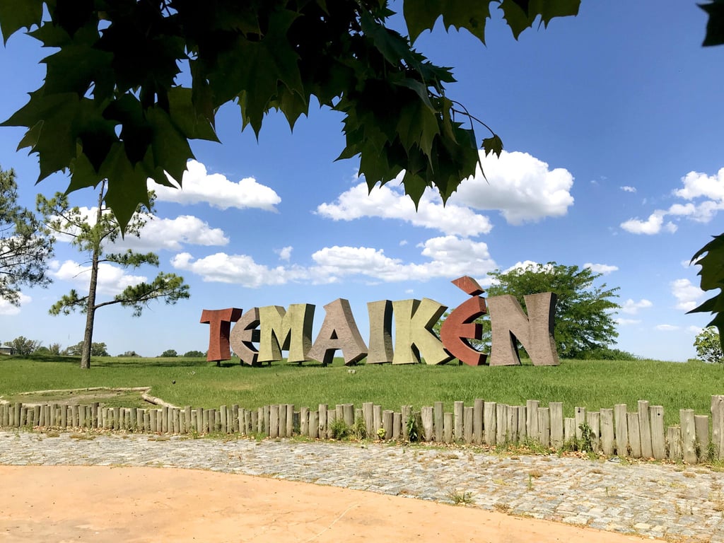 Temaiken