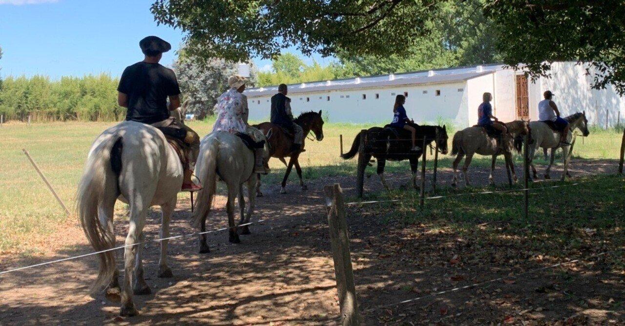 Actividades tradicionales