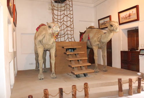 Highlights Of Camel Museum In Dubai