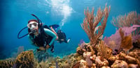 Dubai Travel And Tours