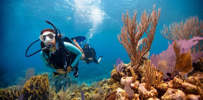 Dubai Travel And Tours