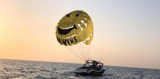 Dubai Shallow Water Dolphin Encounter At Atlantis