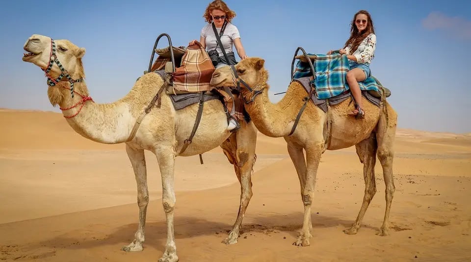 vi.	Camel Riding