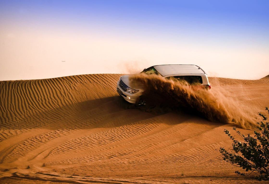 Some of the best options to choose in Desert Safari: