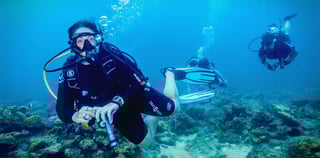 Full Day Liwa Desert Safari | Age Restrictions Only Adults 