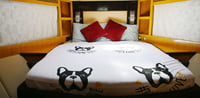 Dubai Travel And Tours