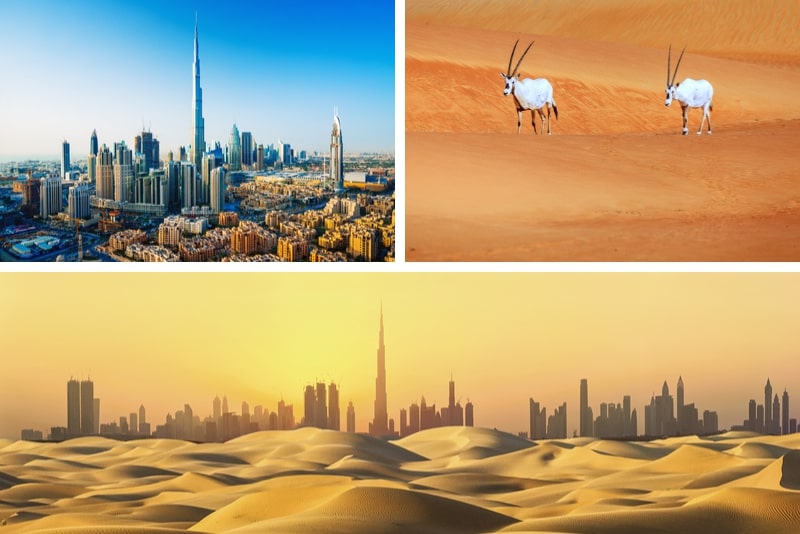 Dubai Is Famous For Its Sandy Desert