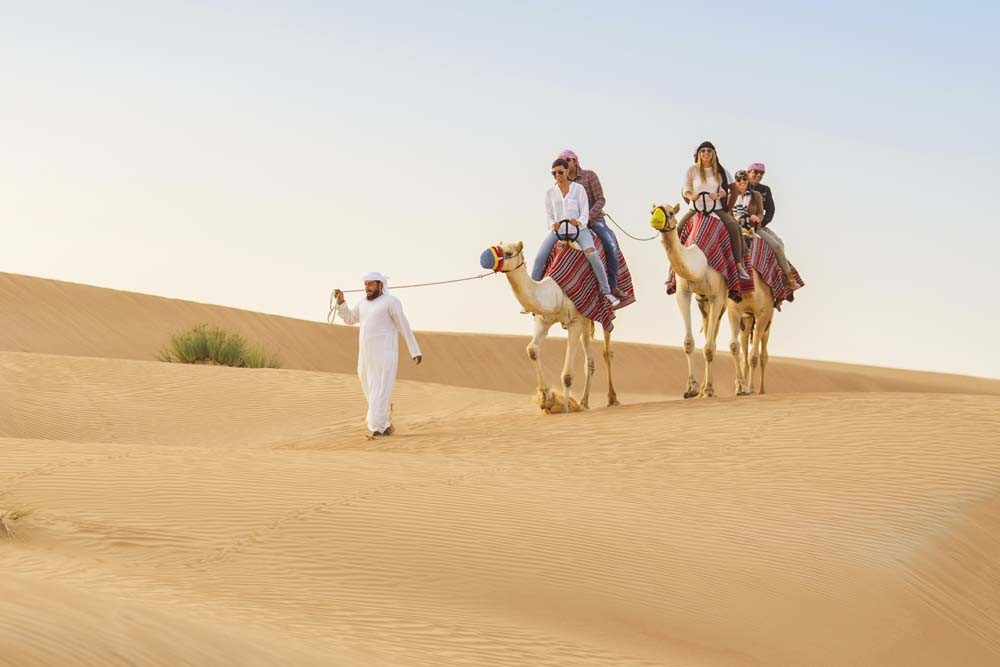 Amazing Camel Riding At Desert Safari