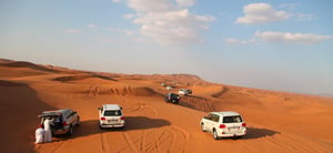 4-Hours Private Safari