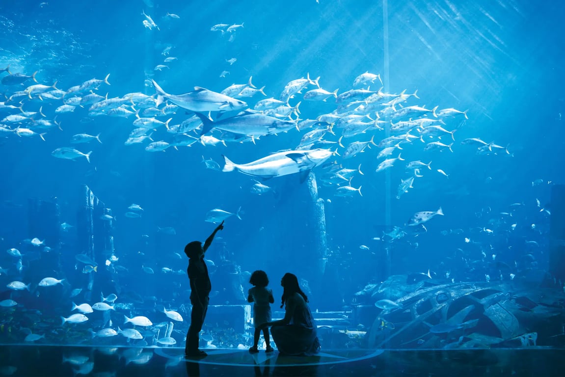 Attend The Lost Chambers Aquarium Dubai