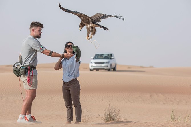 Astounding Falconry In Morning Desert Safari