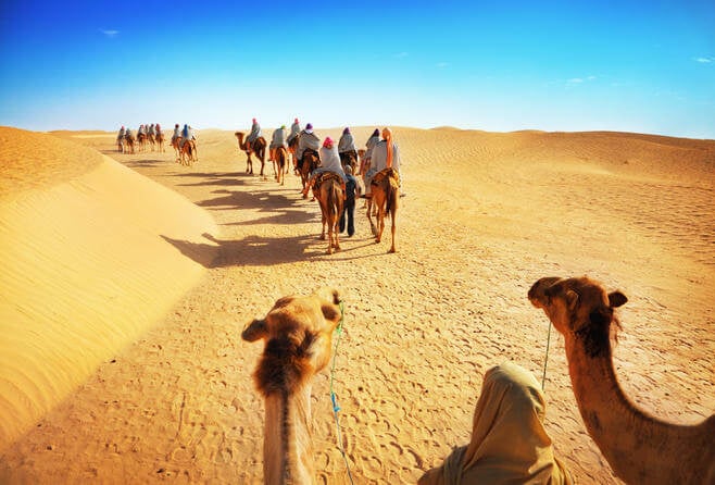 Morning Desert Safari Tour Inclusions