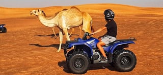  New Year Yacht Rental Dubai 2025/2026 | 85 Feet Pluto Yacht  32 Pax 