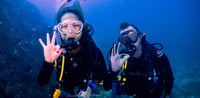 Dubai Travel And Tours