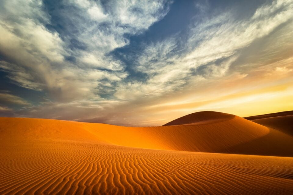 Unique Environment Of The Desert
