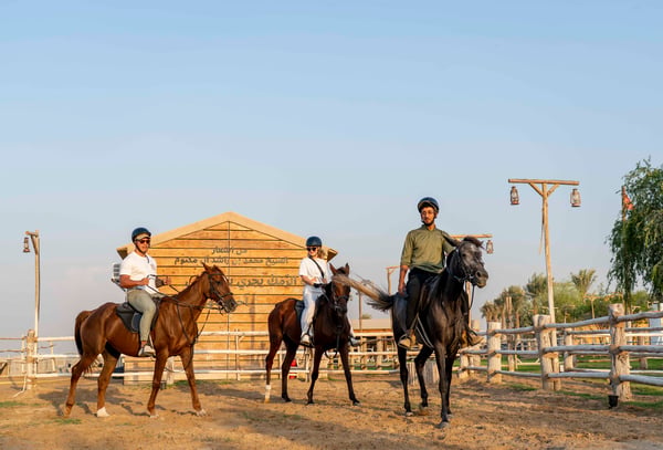 Horse Riding Experience
