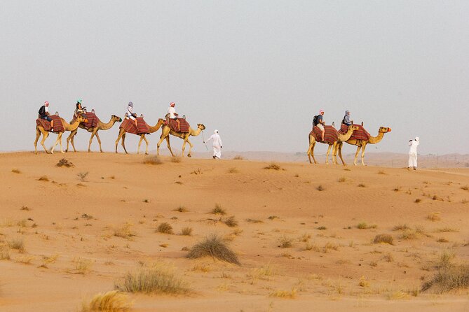 What are the various sorts of desert safaris in Dubai?