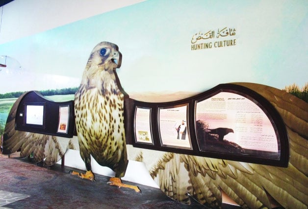 Falcon Museum And Falconry