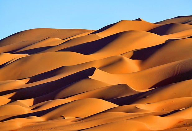 So, What Makes A Liwa Desert Safari Unique?