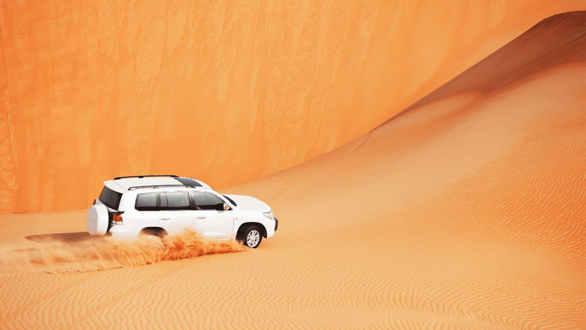 4.	Dune Bashing Or A Wildlife Safari As The Type Of Drive