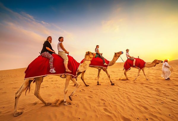 Camel and Handler