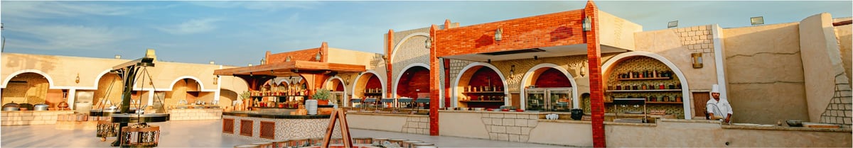 Red Dunes Desert Safari Dubai Highlights Overview overview image