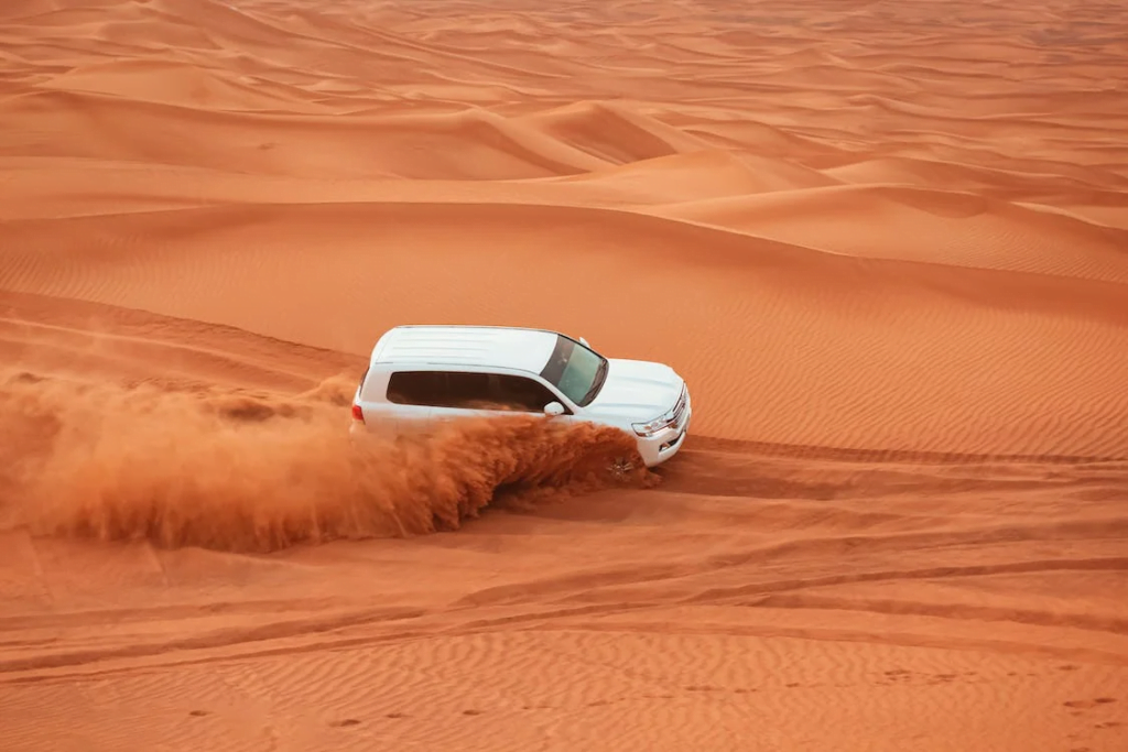 viii.	Dune Bashing