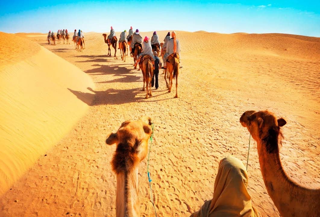 •	Camel Riding