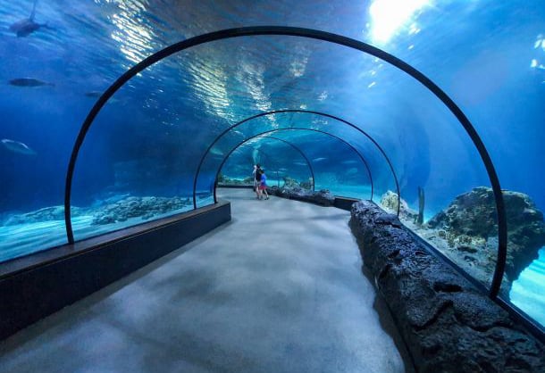 The Sharjah Aquarium Is Located Just Across From The Sharjah Maritime Museum