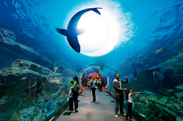 3.	What Makes Dubai Aquarium So Popular?