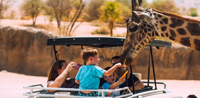 Dubai Travel And Tours