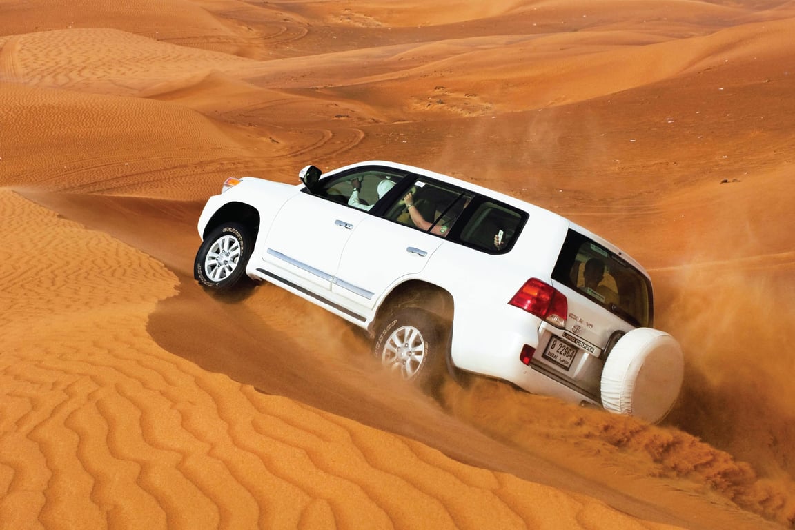 What does Dubai Abandon Safari incorporate?