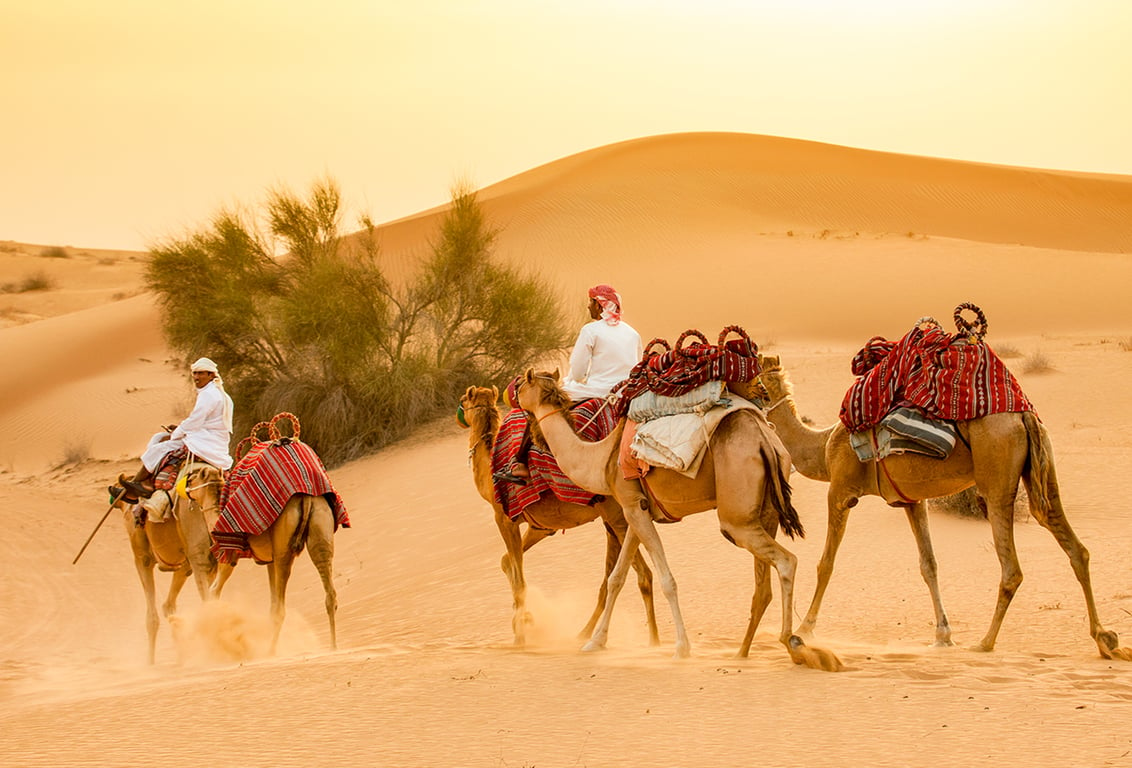 Dress To Wear In Dubai For A Camel Ride