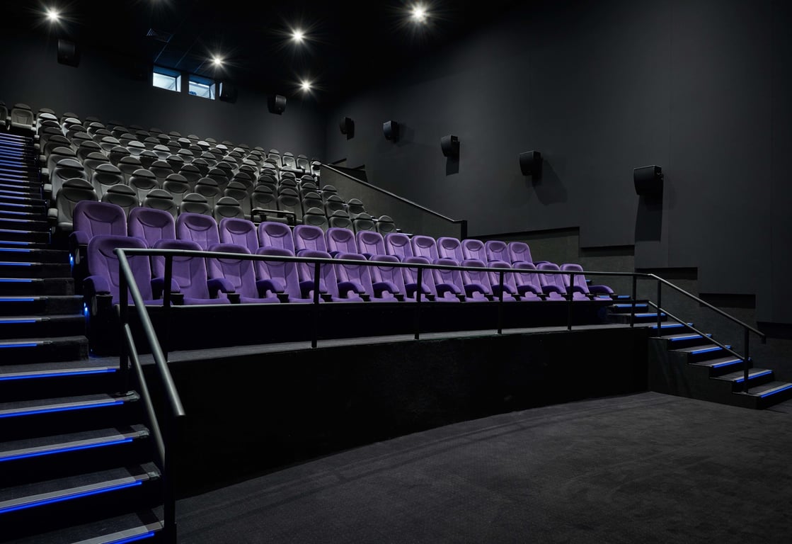 viii.	Reel Cinemas – Largest Cineplex in the UAE