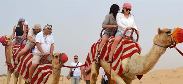 Camel Ride Dubai At Red Dunes Dune Bashing & Sand Boarding – photo 5