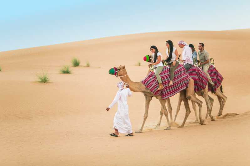 Camel Traveling At Desert Safari 2023