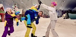 Penguin Friend Encounter 