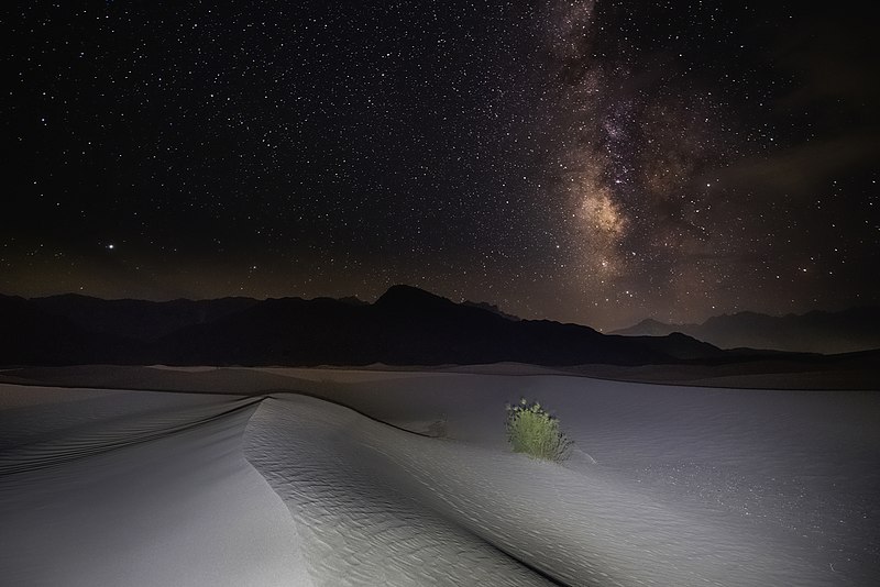 Take A Part In Investigating The Desert At Night