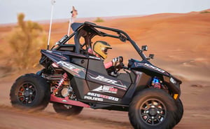 Polaris RS1 2 Seater