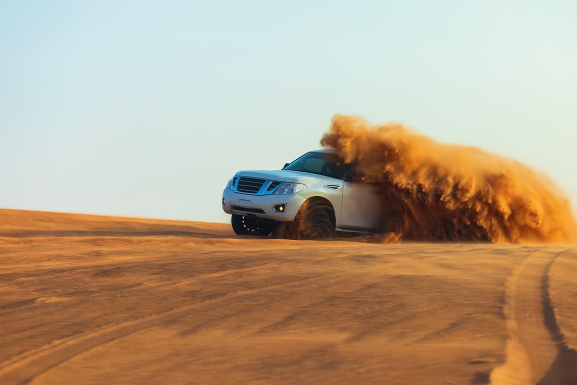 4.	Dune Bashing Or A Wildlife Safari As The Type Of Drive