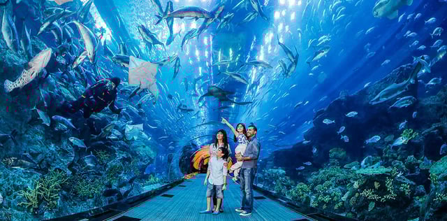 Dubai Night Tour With Dinner At Atlantis