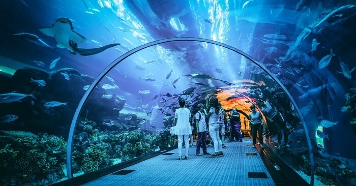 Largest Suspended Aquarium In The World