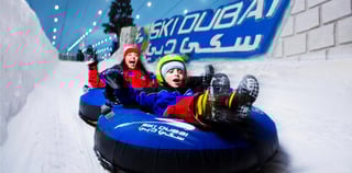 Swimming With Dolphins At Dubai Dolphinarium