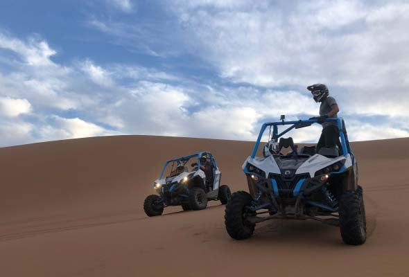Stunning Details About Dune Buggy