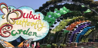 Dubai Travel And Tours