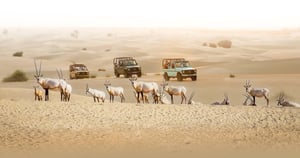 Vintage G-Class