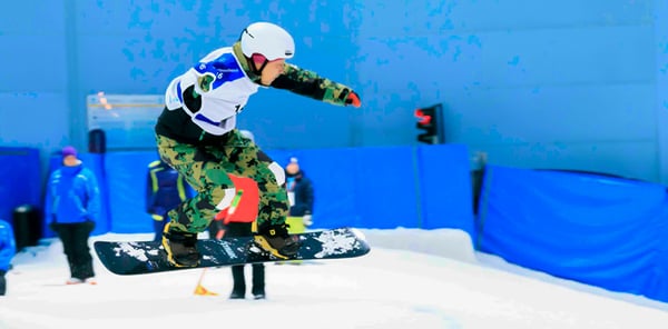 Snow Plus Penguin Encounter