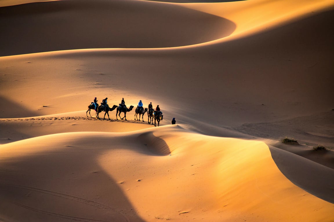 Experience Of Desert