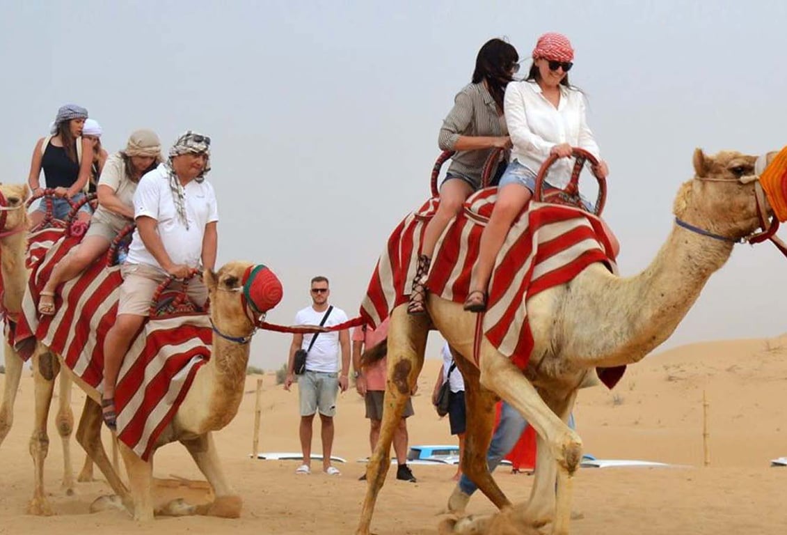 Dubai Camel Safari